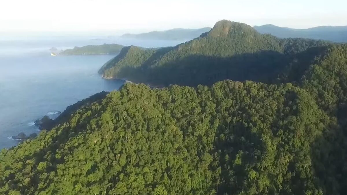 Pantai Sukamade